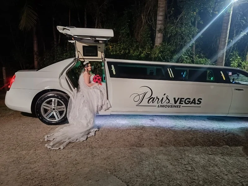 Limousine para casamento na Grande São Paulo Limousine para casamento na Grande São Paulo