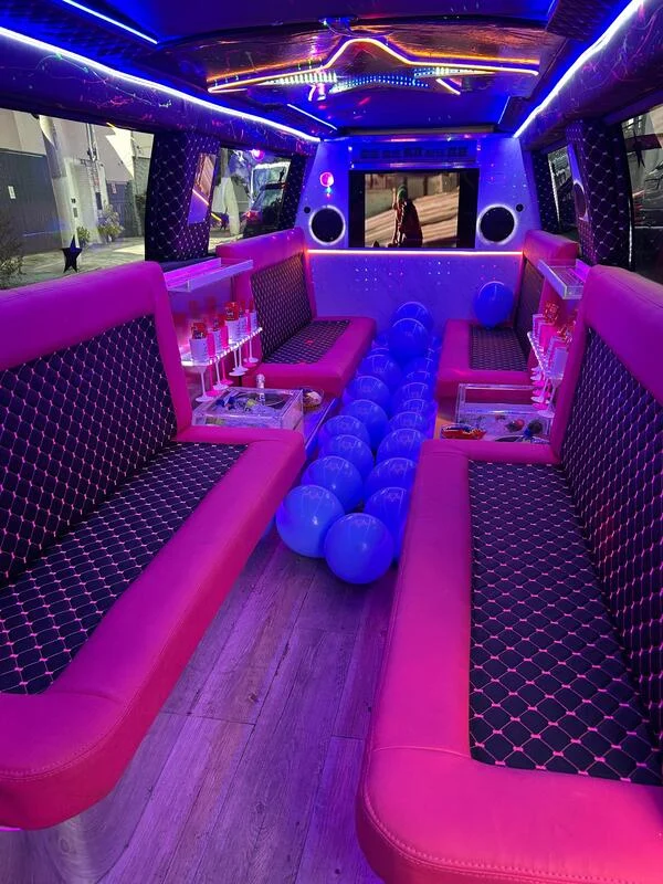 Limousine com decoração especial Limousine com decoração especial